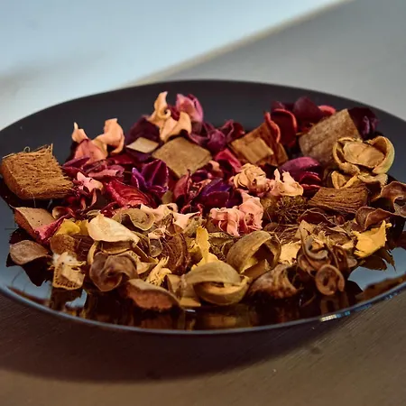 Apartment Pet Friendly - Amazing Miu *
