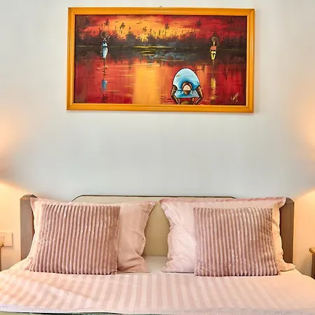 Pet Friendly - Amazing Miu * Timisoara