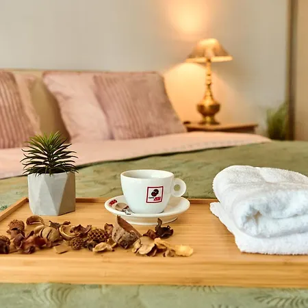 Pet Friendly - Amazing Miu * Timisoara