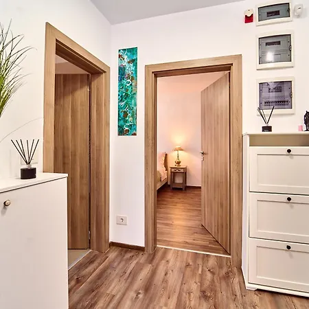 Apartment Pet Friendly - Amazing Miu *